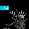 Molecular Biology: Understanding the Genetic Revolution eBook