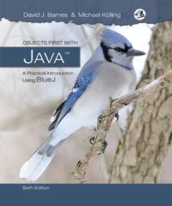 Objects First with Java eBook