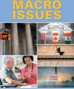 Economics of Macro Issues eBook
