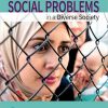 Social Problems in a Diverse Society eBook