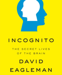 Incognito eBook