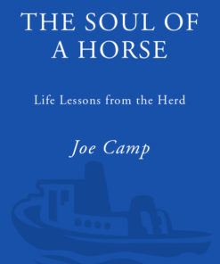 The Soul of a Horse eBook