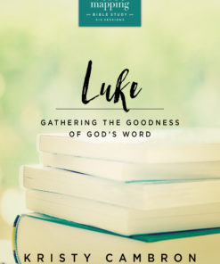 Verse Mapping Luke eBook