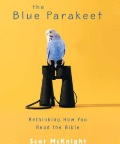 The Blue Parakeet eBook