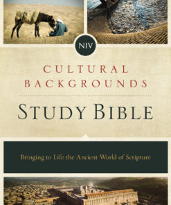 NIV, Cultural Backgrounds Study Bible, eBook