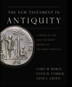 The New Testament in Antiquity eBook
