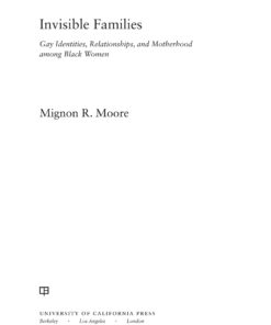 Invisible Families eBook