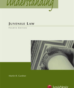Understanding Juvenile Law eBook