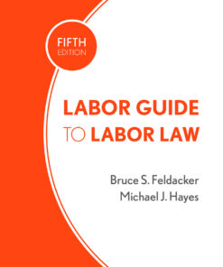 Labor Guide to Labor Law eBook