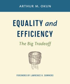 Equality and Efficiency eBook