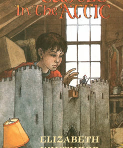 The Castle in the Attic eBook