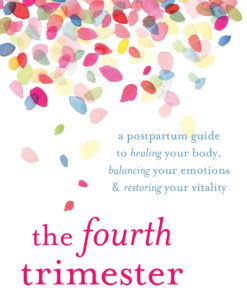The Fourth Trimester eBook