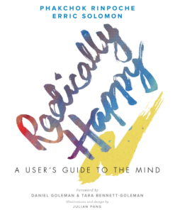 Radically Happy eBook