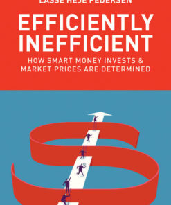 Efficiently Inefficient eBook