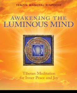 Awakening the Luminous Mind eBook