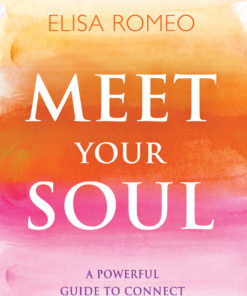 Meet Your Soul eBook