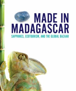 Made in Madagascar eBook