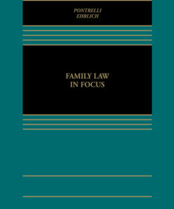 Family Law in Focus eBook