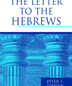 The Letter to the Hebrews eBook