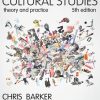 Cultural Studies: Theory and Practice eBook