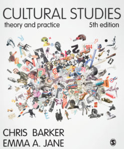 Cultural Studies: Theory and Practice eBook