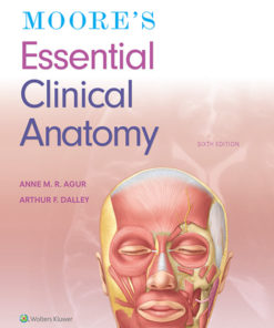 Moore's Essential Clinical Anatomy eBook