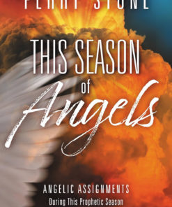 This Season of Angels eBook