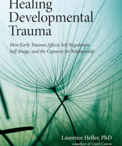 Healing Developmental Trauma eBook