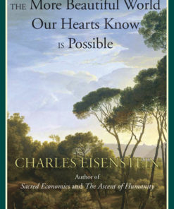 The More Beautiful World Our Hearts Know Is Possible eBook