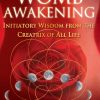 Womb Awakening eBook