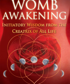Womb Awakening eBook