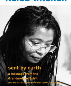 Sent by Earth eBook