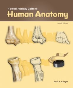 A Visual Analogy Guide to Human Anatomy eBook