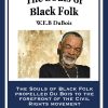 The Souls of Black Folk eBook
