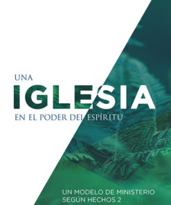 Una iglesia en el poder del Espíritu eBook