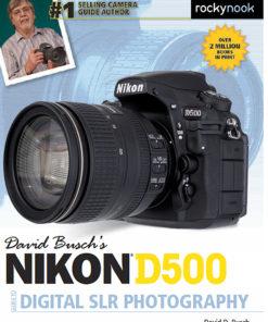 David Busch’s Nikon D500 Guide to Digital SLR Photography eBook