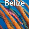 Lonely Planet Belize eBook