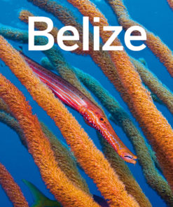 Lonely Planet Belize eBook