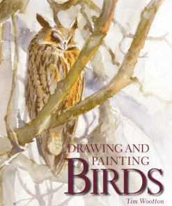 Drawing and Painting Birds eBook