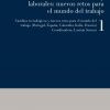 Los actuales cambios sociales y laborales: nuevos retos para el mundo del trabajo eBook
