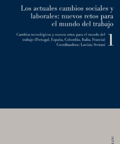 Los actuales cambios sociales y laborales: nuevos retos para el mundo del trabajo eBook