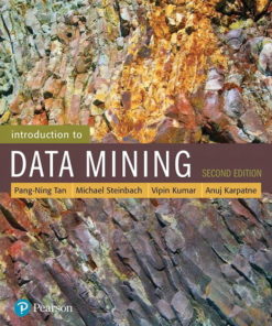 Introduction to Data Mining eBook