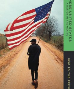 These United States: A Nation in the Making: 1890 to the Present 1st edition eBook