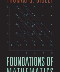 The Foundations of Mathematics eBook