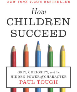 How Children Succeed eBook