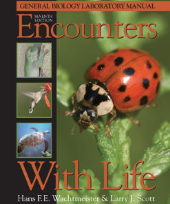 Encounters with Life, 7e 7th edition eBook