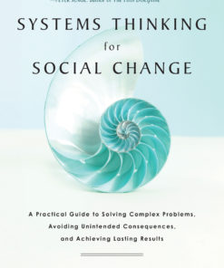 Systems Thinking For Social Change eBook