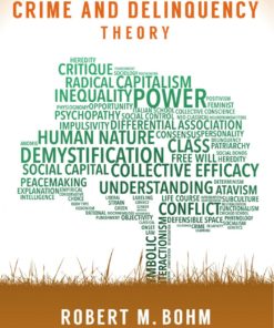 A Primer on Crime and Delinquency Theory eBook
