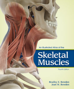 An Illustrated Atlas of the Skeletal Muscles eBook