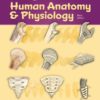 A Visual Analogy Guide to Human Anatomy & Physiology 3rd edition eBook